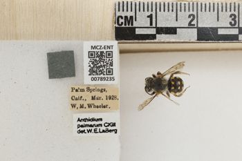 Media type: image;   Entomology 789235 Aspect: Labels